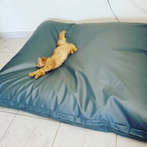 Grand Comfort XXXL Bean Bag